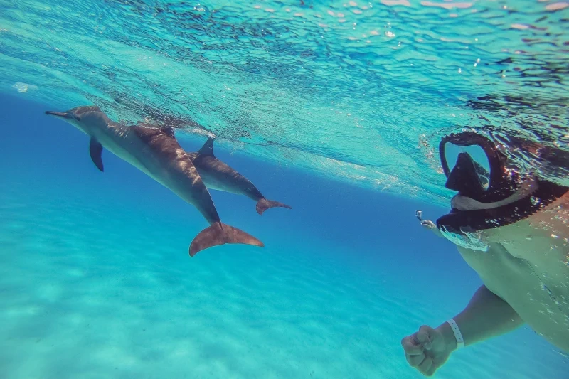 vacanza in egitto ad agosto vacanza in egitto ad agosto