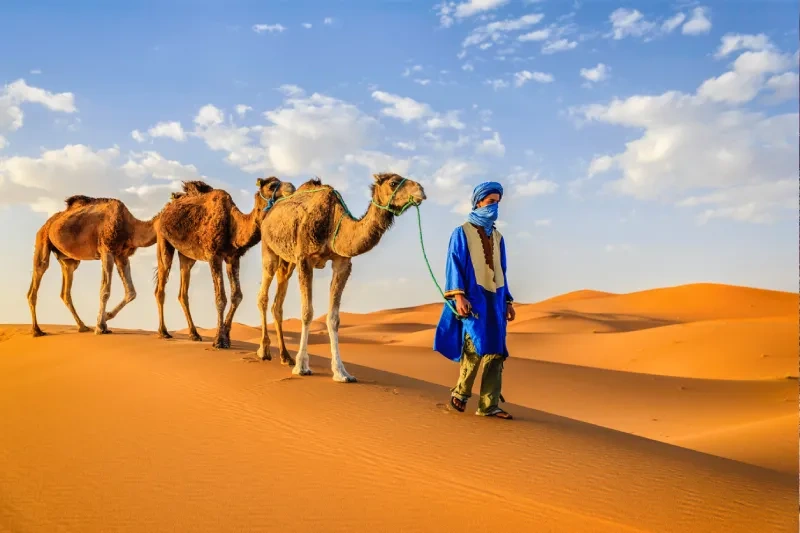 Tour Marocco Città Imperiali e Deserto Merzouga 9 Giorni Tour Marocco Città Imperiali e Deserto Merzouga 9 Giorni