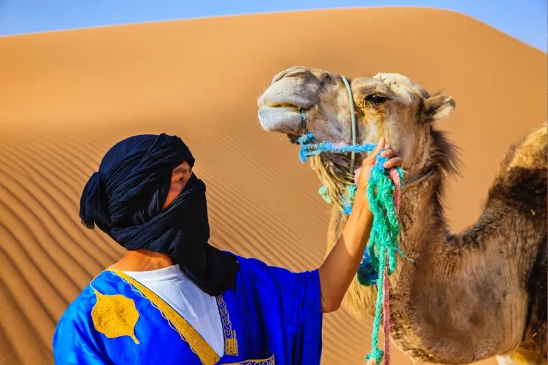 Tour Marocco Città Imperiali e Deserto Merzouga 9 Giorni Tour Marocco Città Imperiali e Deserto Merzouga 9 Giorni