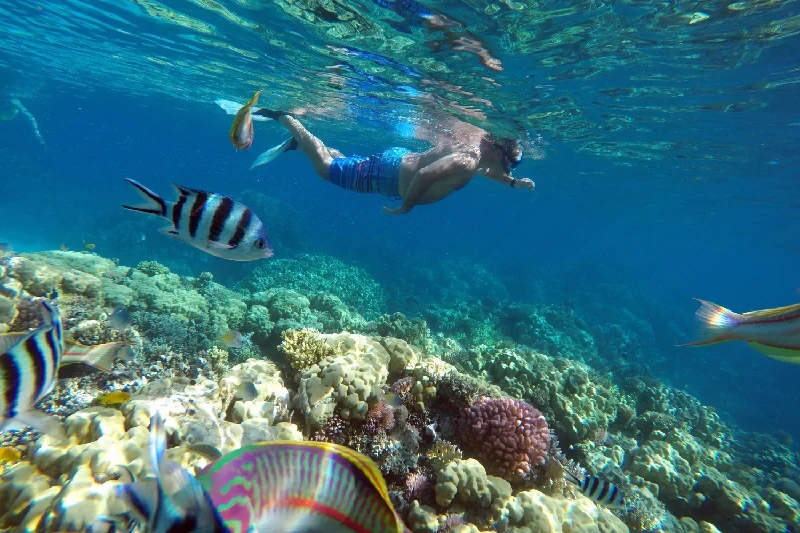 Buceo en El Mar Rojo Egipto