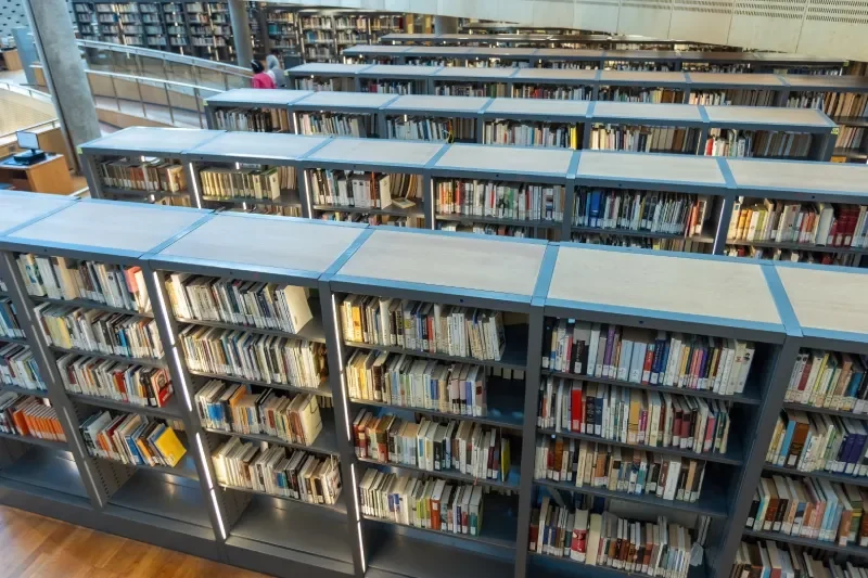 Biblioteca di Alessandria | La Biblioteca di Alessandria