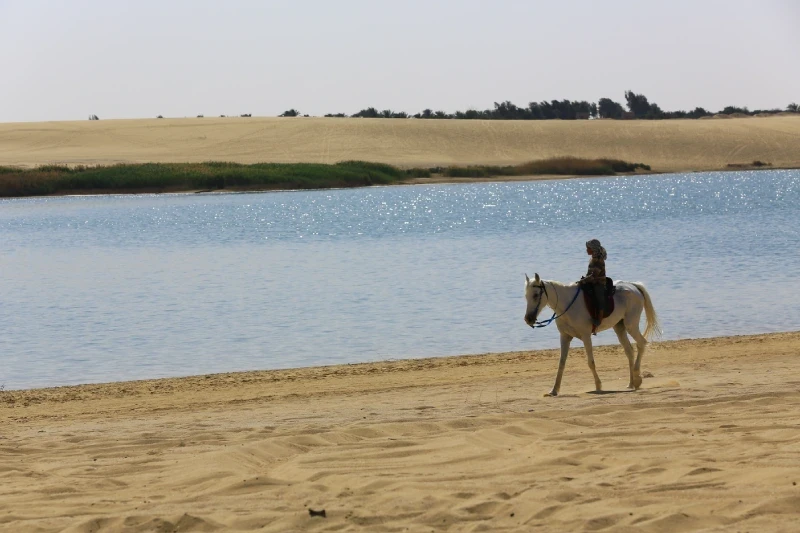 Lago Qarun
