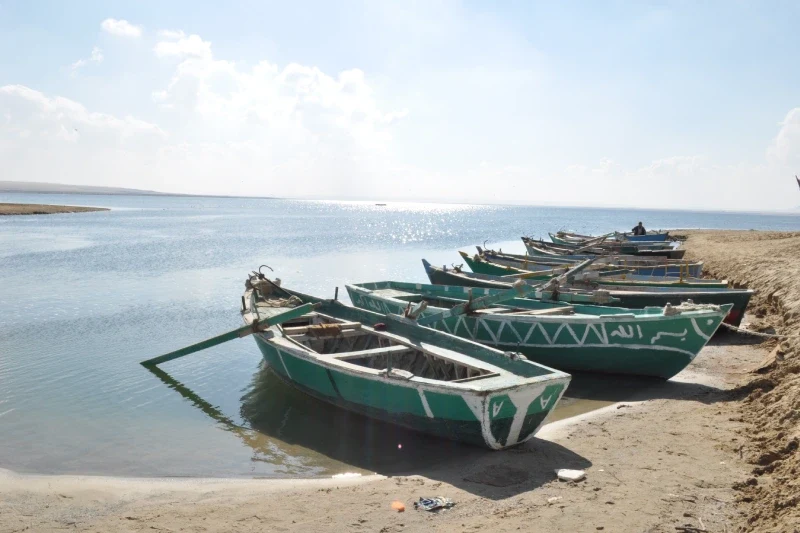 Wadi El Rayan