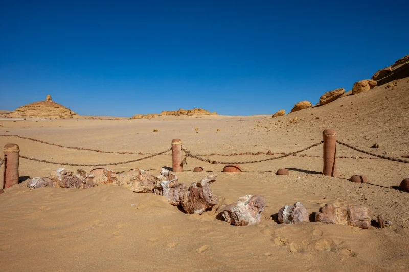 Wadi Al Hitan