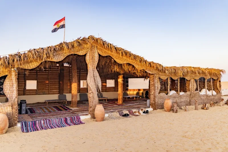 Wadi Al Hitan