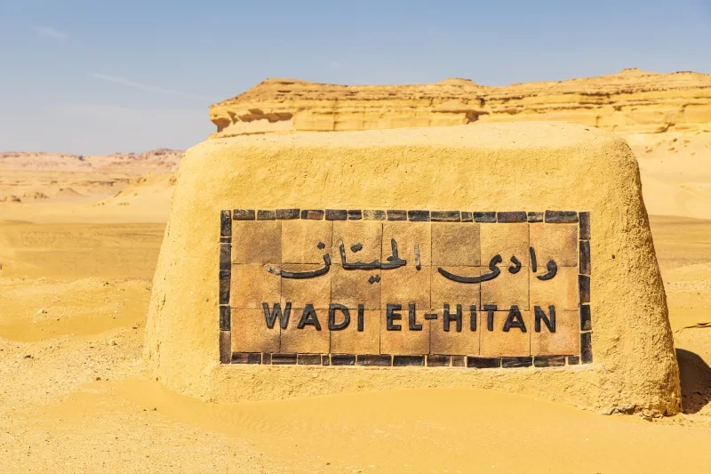 Wadi Al Hitan