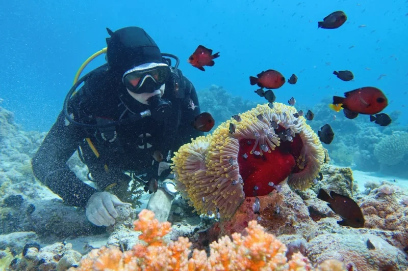 Sharm El Luli