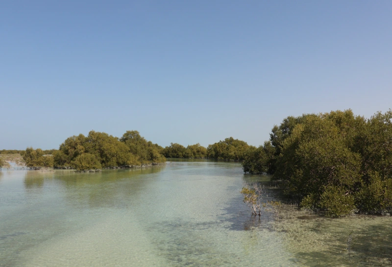 El Parque Nacional Abu Dhabi El Parque Nacional Abu Dhabi