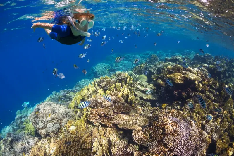 città di marsa alam