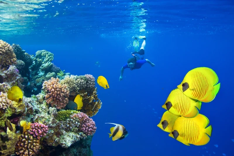 città di marsa alam