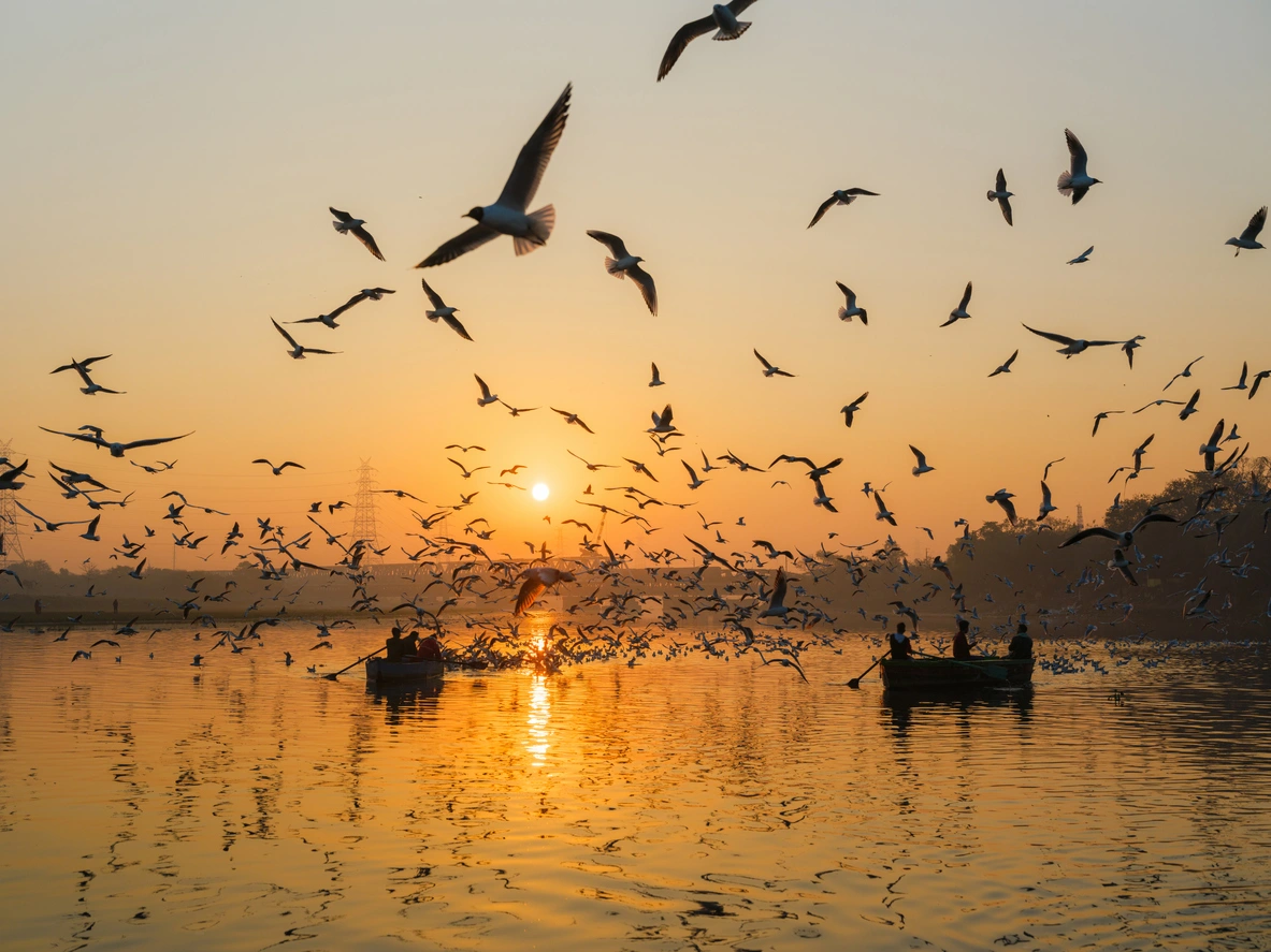 Nueva Delhi