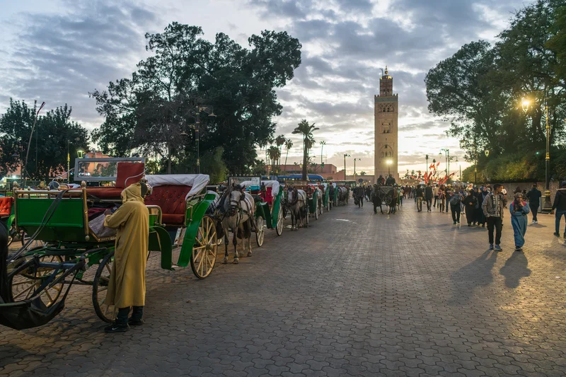Jamma el Fna Marrakech, Marruecos