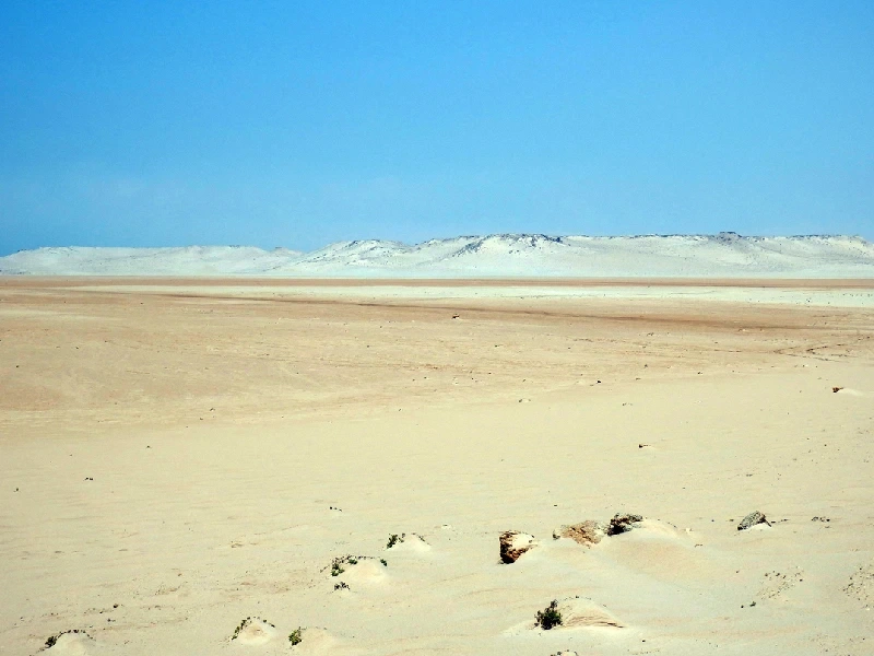 Oasi di Dakhla