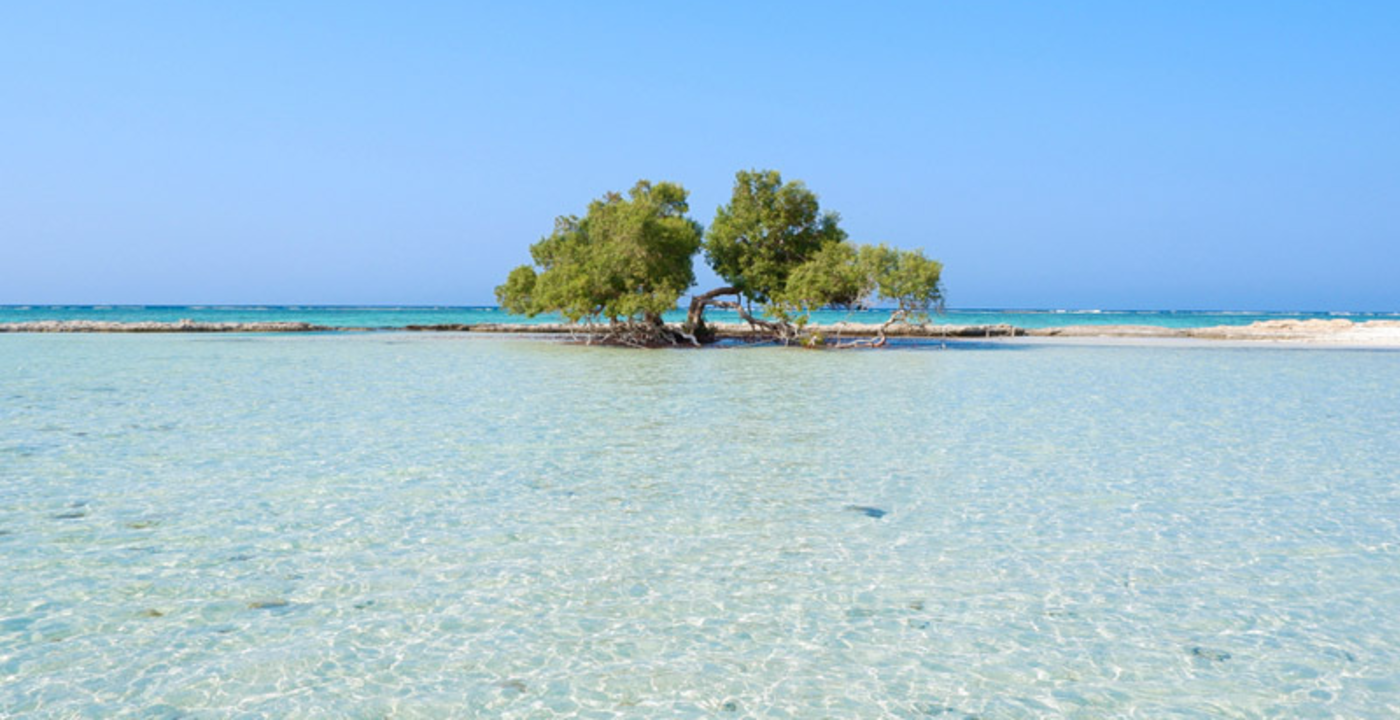 una delle isole del mar rosso