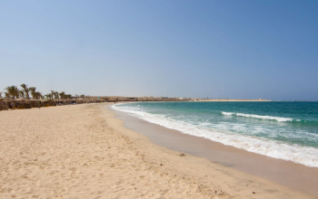 Perché Abu Dabbab è il Paradiso Nascosto dei Sub in Egitto?