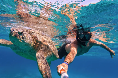 Uomo e Tartaruga, escursione abu dabbab