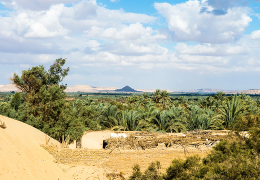 una donna nel deserto bianco, offerta oasi egitto e crociera nilo