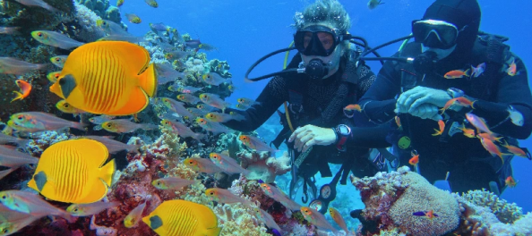 Vacanze di Natale in Egitto, due persone sotto il Mare