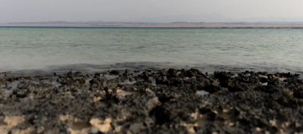 Sharm EL Luli, escursione a wadi el gemal e sharm el luli