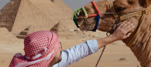un uomo tocca il cammello davanti alle Piramidi, hurghada piramidi