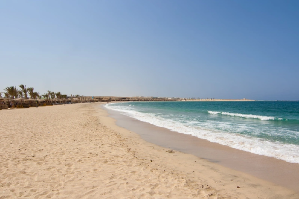 Perché Abu Dabbab è il Paradiso Nascosto dei Sub in Egitto?