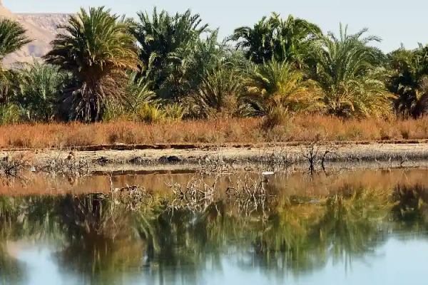 Oasi Dakhla: Il Segreto Meglio Custodito del Deserto
