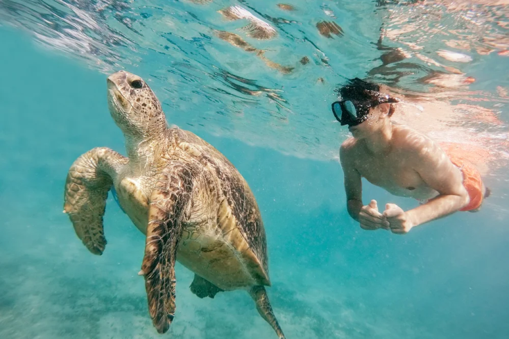 immersione in egitto a marsa alam,  dove andare al mare in egitto