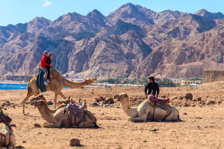 la zone di dahab in egitto, dove andare in egitto a dicembre