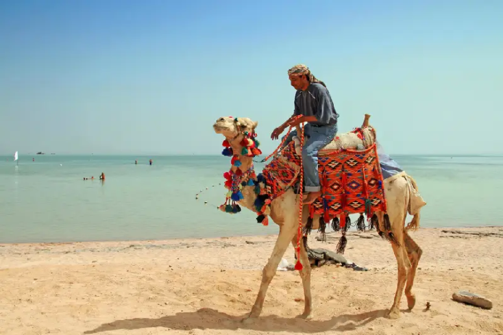 Mar Rosso in Egitto, hurghada o sharm?