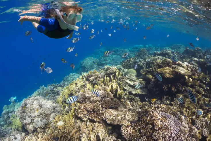Un ragazzo a marsa alam fa immersioni