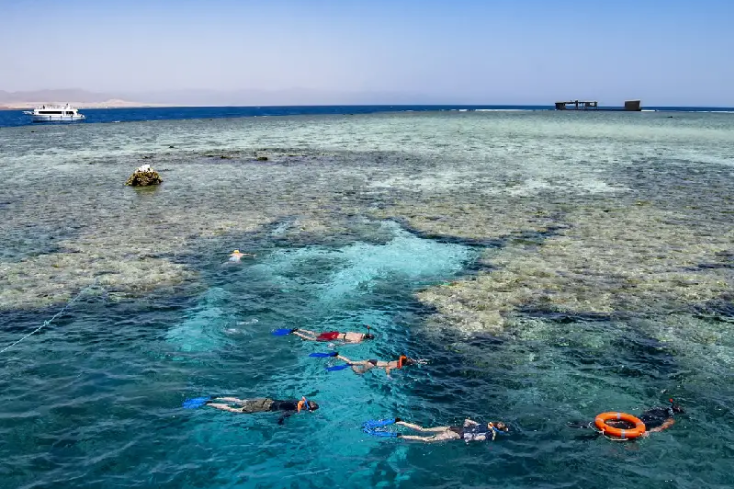 Snorkling a sharm el shiekh, cosa vedere a sharm el sheikh in 7 giorni