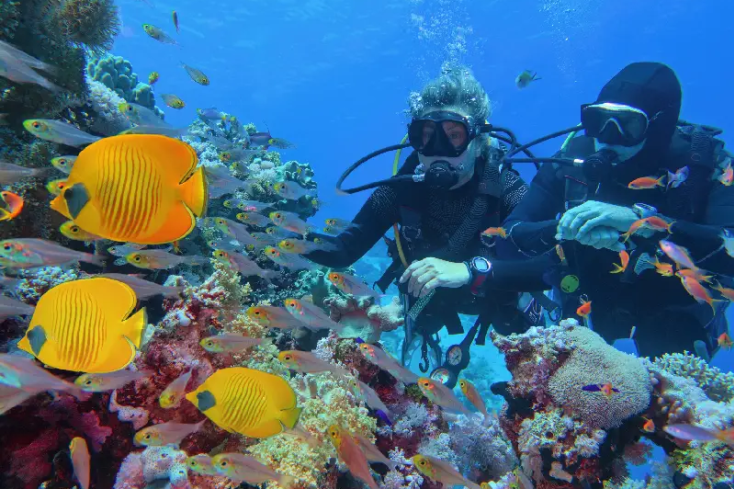 immersione a sharm, cosa vedere a sharm el sheikh in 7 giorni