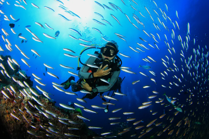 un uomo fa snorkling a sharm