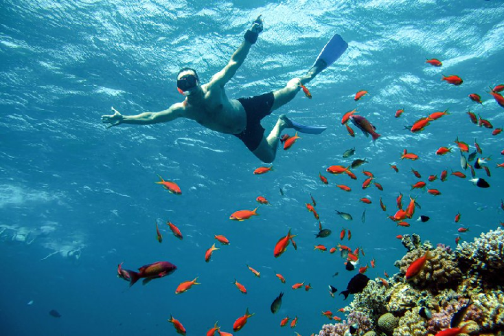 taba mar rosso, un uomo nelle profondità del Mar Rosso