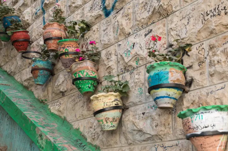 fiori sul muro nel rainbow street in giordania, rainbow street amman