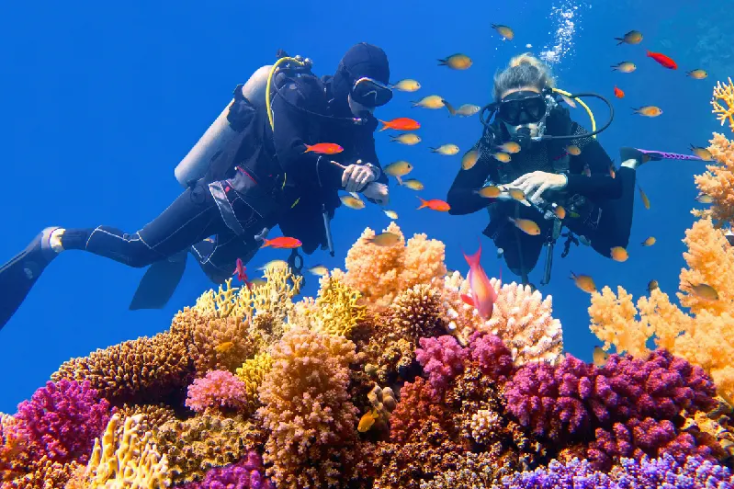 un uomo e una donna fanno snorkeling nella zona di berenice, berenice egitto
