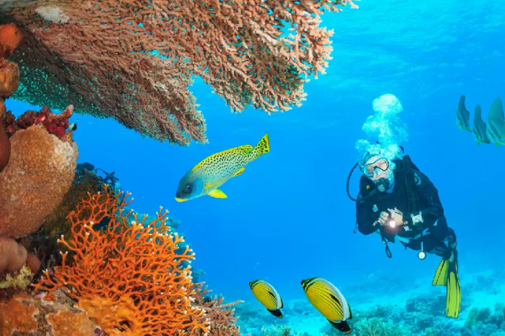 mar rosso, berenice egitto