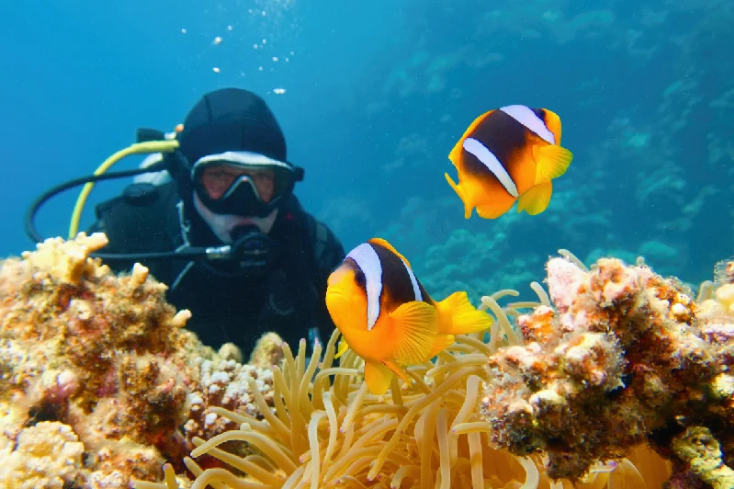 mar rosso, berenice egitto