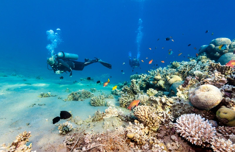 Escursione Dahab e snorkeling al Blue Hole, Il mar di Dahab