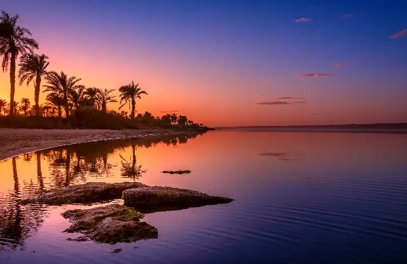 Escursione Oasi del Fayoum ,Tour all'Oasi di El Fayoum