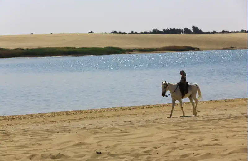 Escursione Oasi del Fayoum ,Tour all'Oasi di El Fayoum