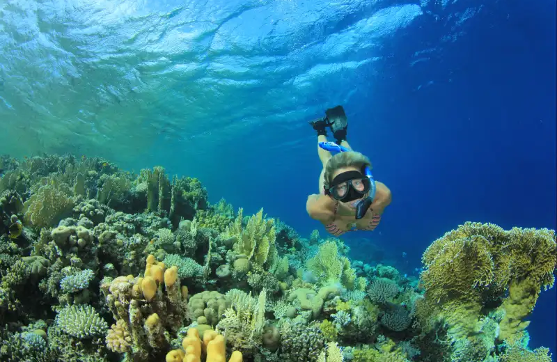 Snorkeling all'isola di Hamata da Marsa Alam
