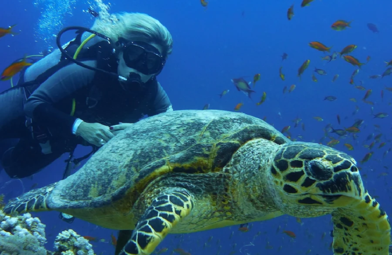 Snorkeling all'isola di Hamata da Marsa Alam