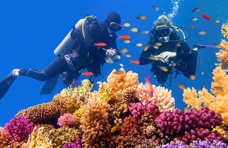 marsa alam, crociera sul nilo e marsa alam