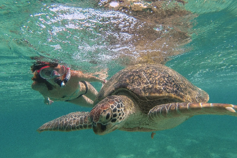 Escursione su barca con fondo in vetro e giochi d'aqcua  a Sharm, una persona sotto il mare