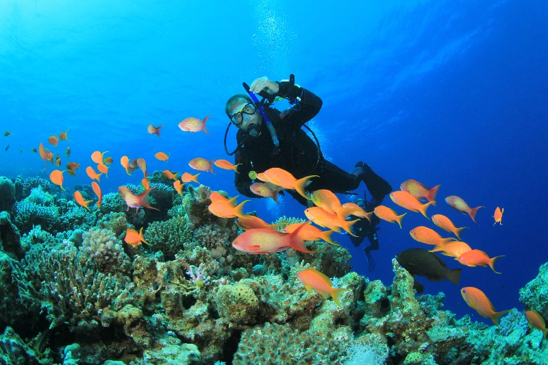 Escursione Dahab e snorkeling al Blue Hole, Un uomo fa il Diving