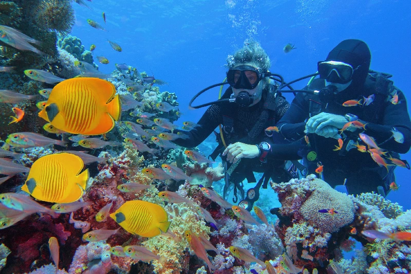 Due persone sotto il Mare, egitto natale 2025 Due persone sotto il Mare, egitto natale 2025