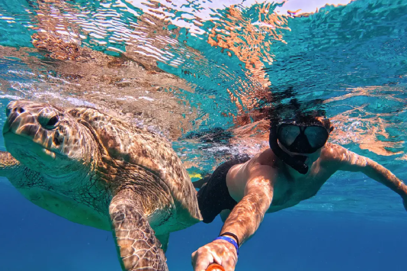 Uomo e Tartaruga, offerte vacanze agosto Egitto