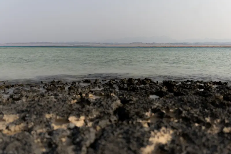 Sharm EL Luli, escursione a wadi el gemal e sharm el luli