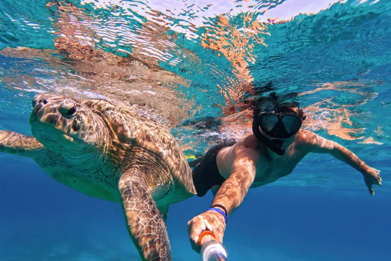 Uomo e Tartaruga, escursione abu dabbab